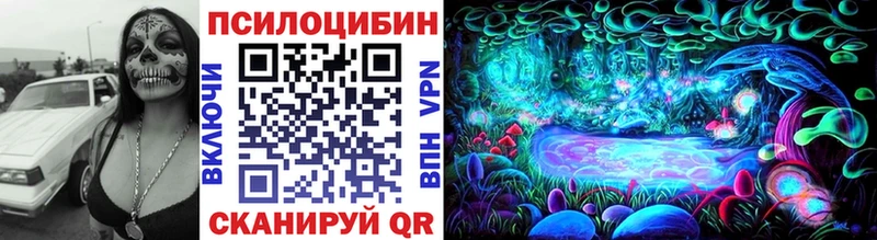 Псилоцибиновые грибы Cubensis купить наркотики сайты Кондрово