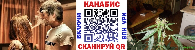 мориарти клад  как найти   Кондрово  Бошки марихуана конопля 